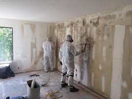 Best Basement Mold Removal  in Pepper Pike, OH